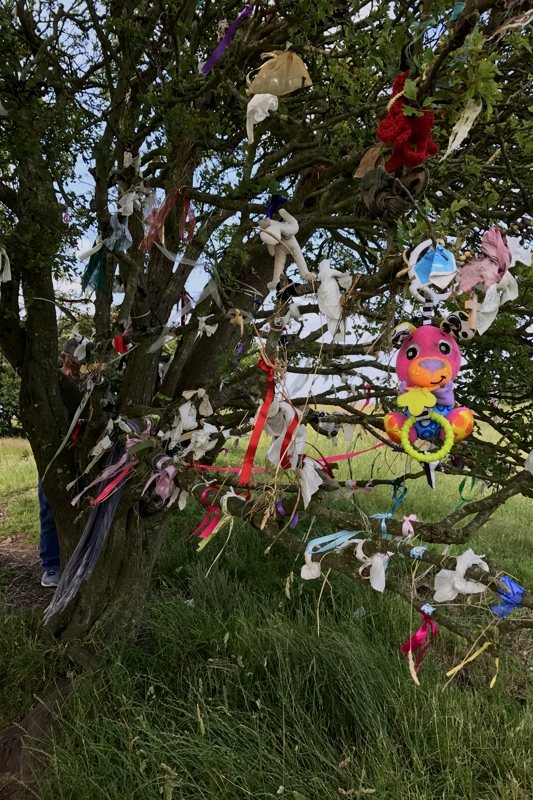 Clootie-tree-at-Ring-of-Tara | Always Want To Go