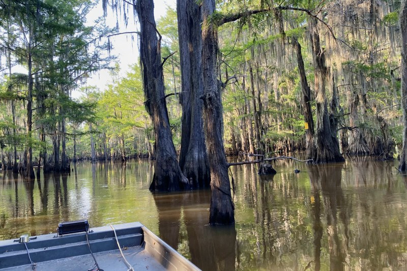 Remarkable and fun RV trip at Lake Caddo | Always Want To Go