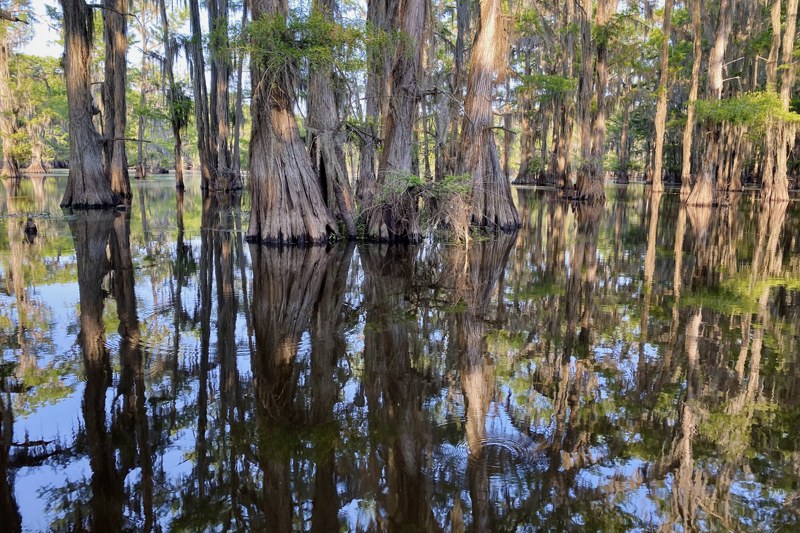 Caddo-Lake-G | Always Want To Go